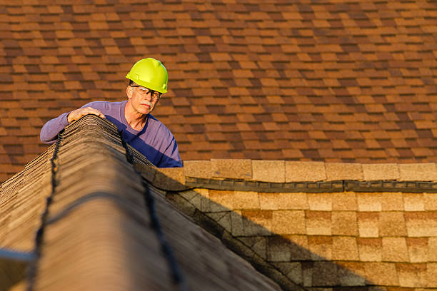 Best Storm Damage Roof Repair  in Plain City, UT